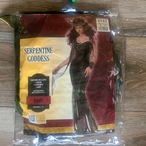 Women costume sizes M (8-10) run small i love this costume